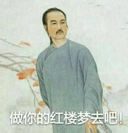 做你的红楼梦去吧