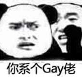 你系个Gay佬