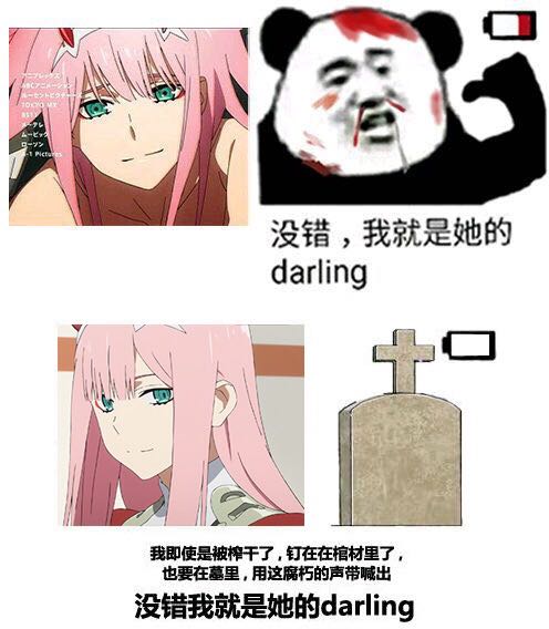 没错，我就是她的darling