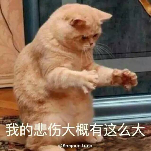 我的悲伤大概有这么大