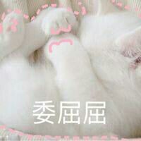 委屈屈