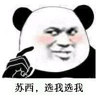 苏西，选我选我