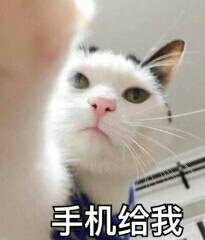 手机给我