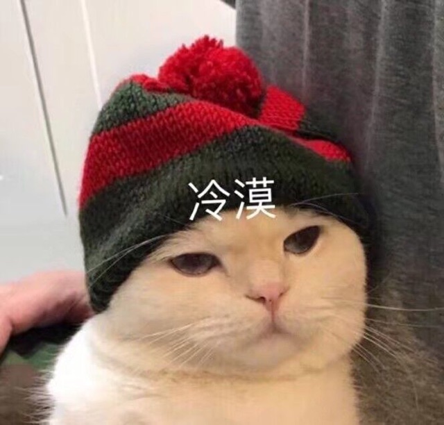 冷漠小猫