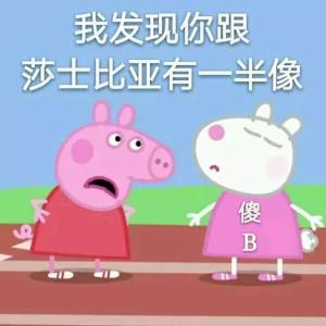 我发现你跟莎士比亚有一半像，傻B