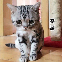 委屈