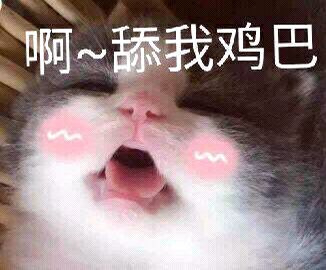 啊~舔我鸡巴