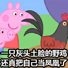 一只灰头土脸的野鸡，还真把自己当凤凰了