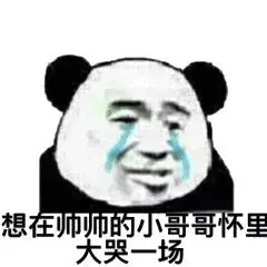 想在师师的小哥哥怀里大哭一场