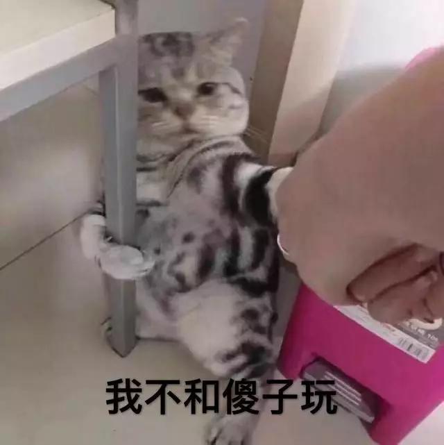 我不和傻子玩