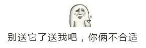 别送它了送我吧，你俩不合适