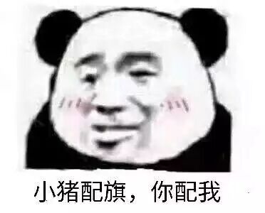 小猪配旗，你配我