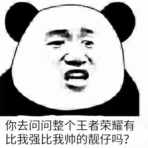 你去问问整个王者荣耀有比我强比我帅的靓仔吗？