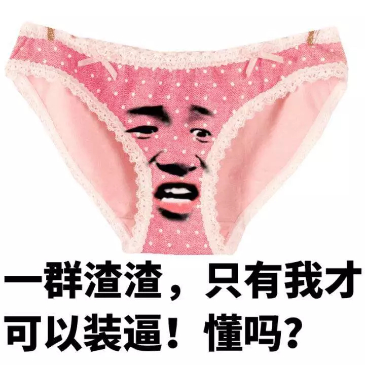 一群渣渣，只有我才可以装逼！懂吗？