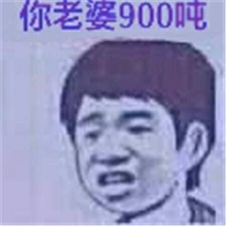 你老婆900吨