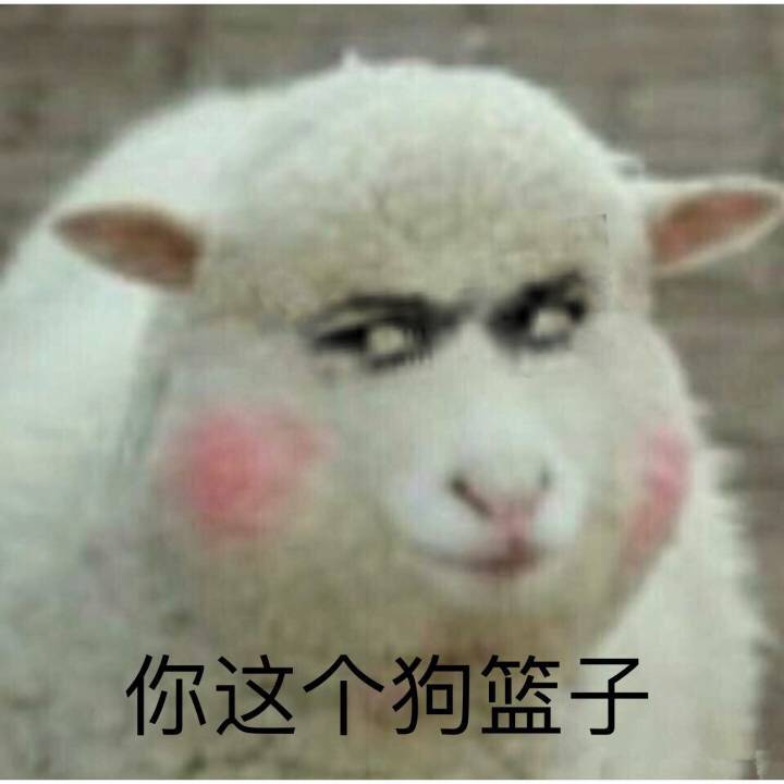 你这个狗篮子