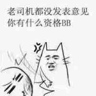 老司机都没发表意见，你有什么资格BB