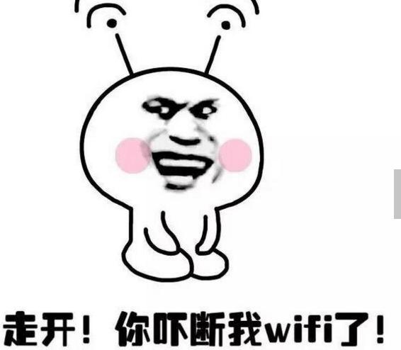 走开！你吓断我wifi了！