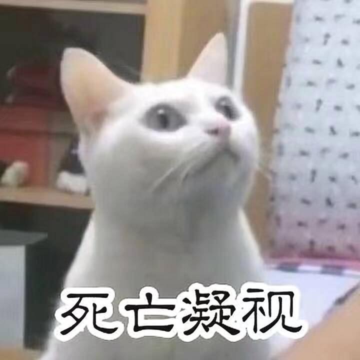 死亡凝视