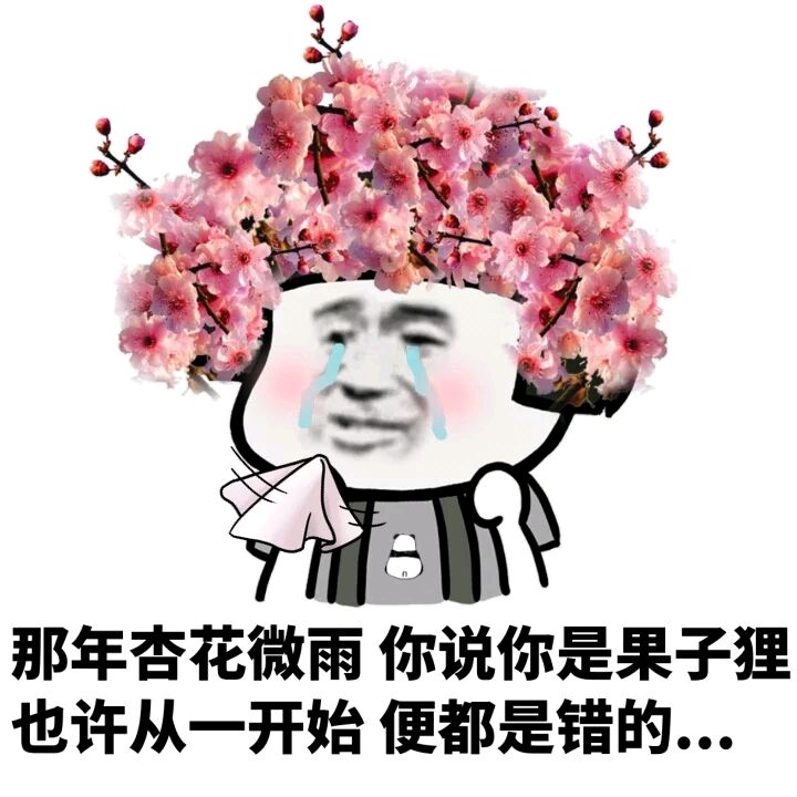 那年杏花微雨，你说你是果子狸，也许从一开始便都是错的。