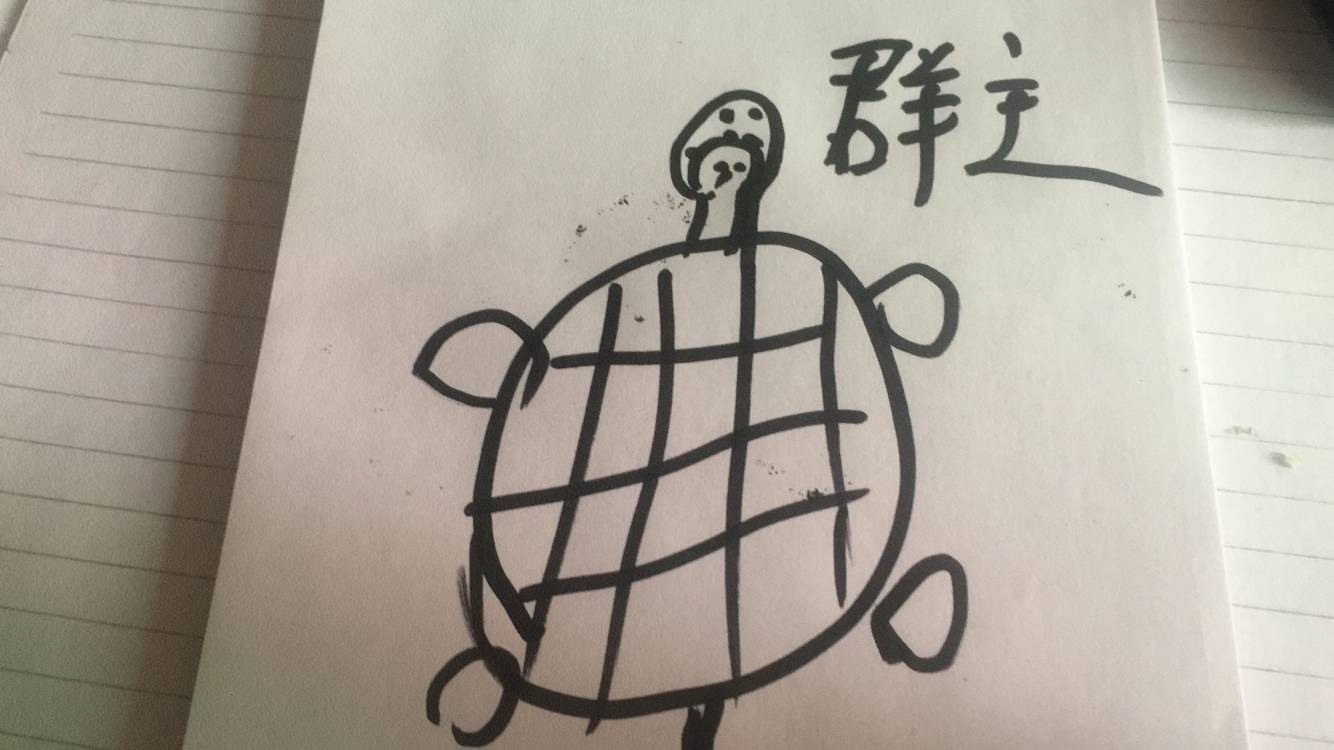 群主乌龟