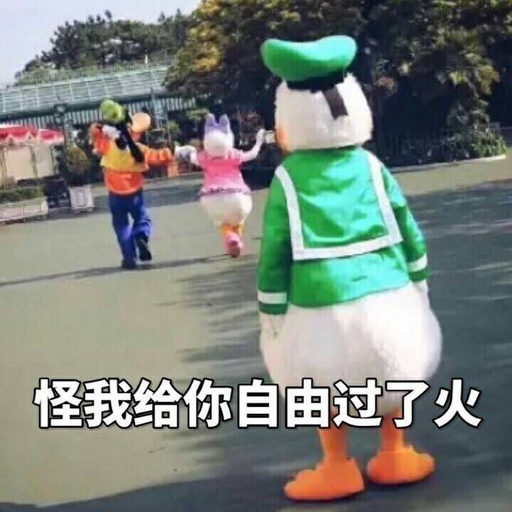 怪我给你自由过了火