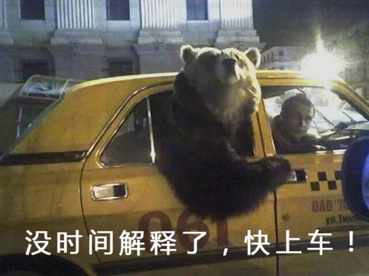 没时间解释了，快上车（熊）