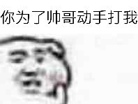 你为了帅哥动手打我