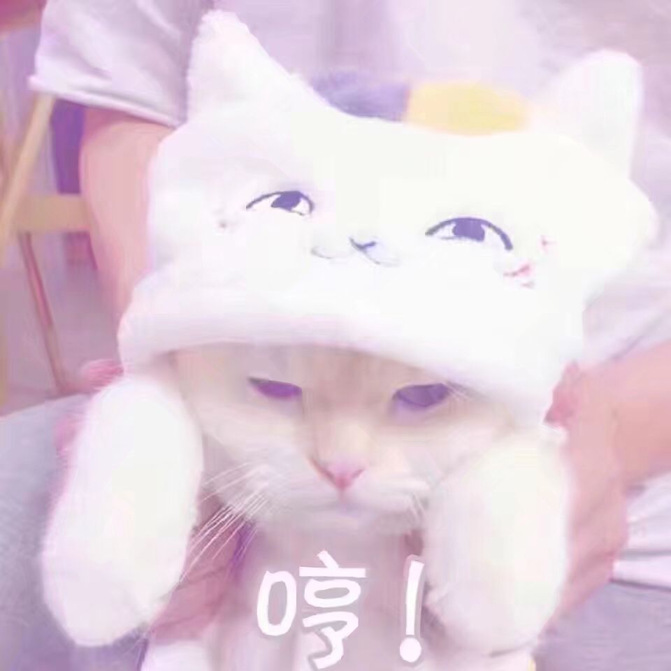 哼小猫