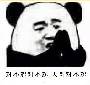 对不起对不起大哥对不起