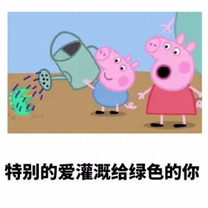 特别的爱灌溉给绿色的你