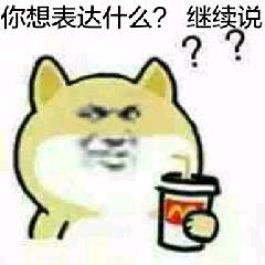 你想表达什么？继续说？