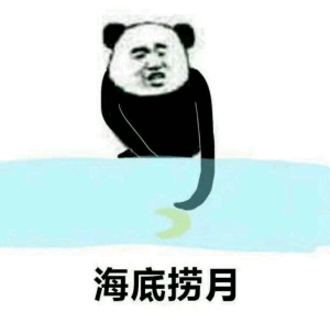 海底捞月