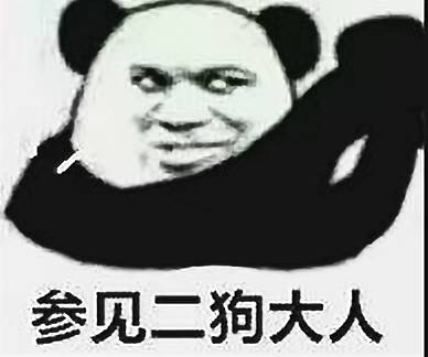 参见二狗大人