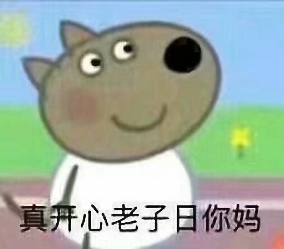 真开心老子日你妈