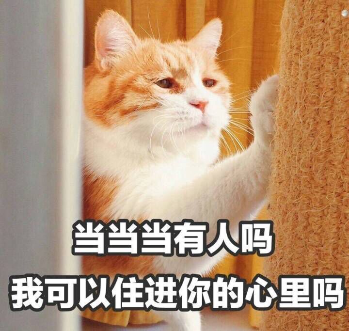 当当当有人吗？我可以住进你的心里吗？