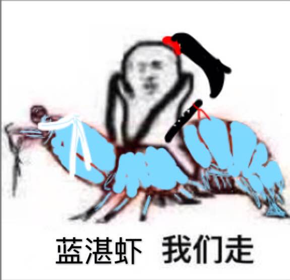 蓝湛虾我们走