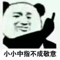 小小中指不成敬意