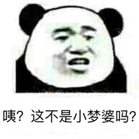 咦？这不是小梦婆吗？