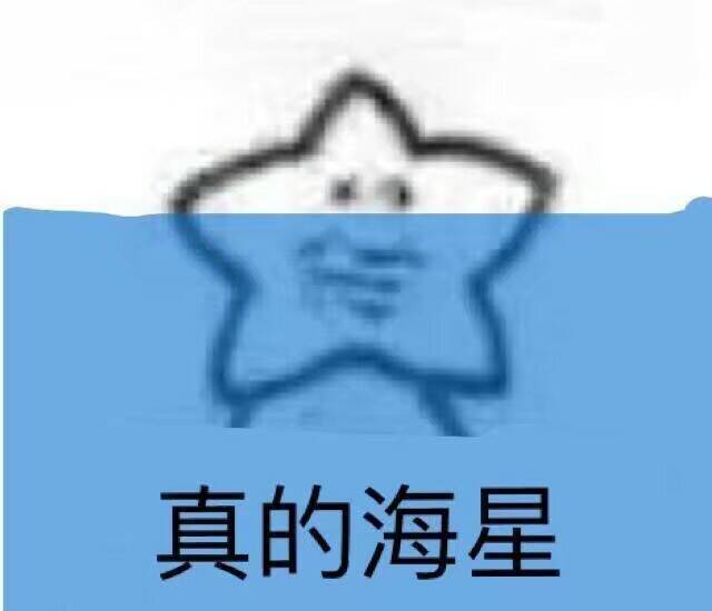 真的海星