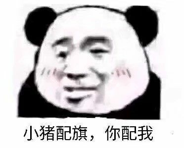 小猪配旗，你配我