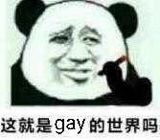 这就是gay的世界吗