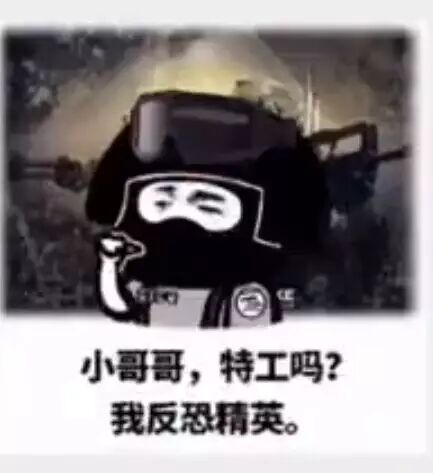 小哥哥，特工吗？我反恐精英