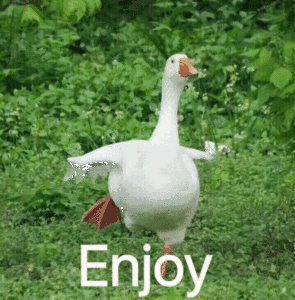 Enjoy(鸭子)
