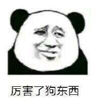 历害了狗东西