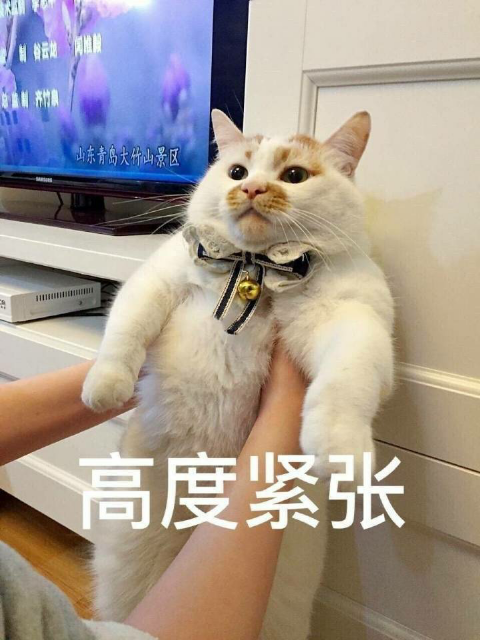 高度紧张