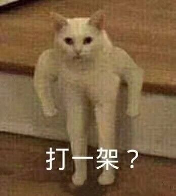 打—架？