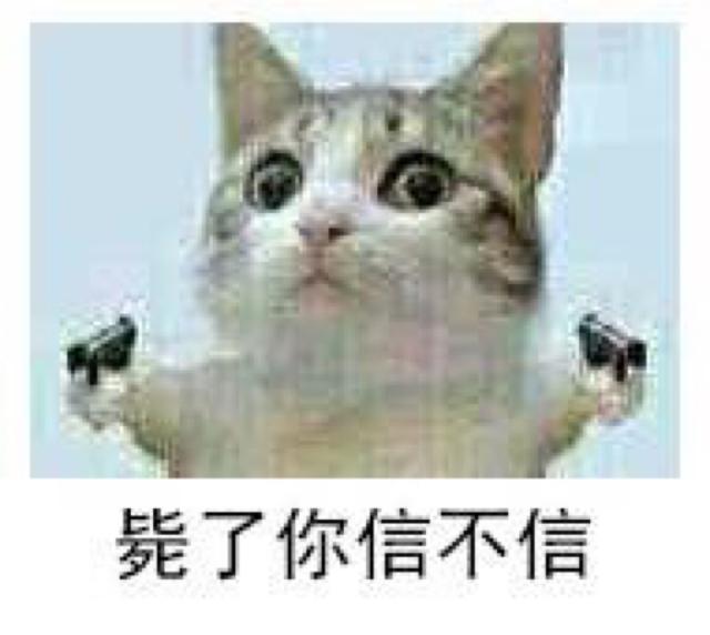 毙了你信不信