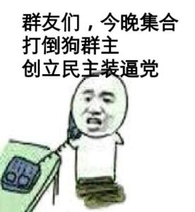 群友们，今晚集合打倒狗群主创立民主装逼党