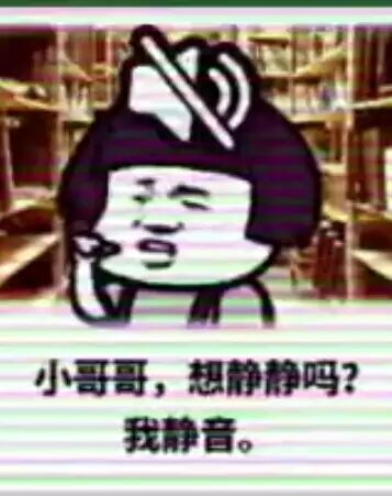 小哥哥，想静静吗？我静音。